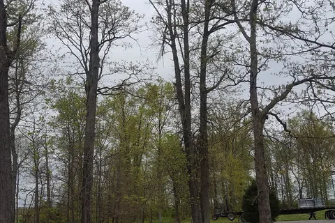 Lonely Oaks - Washington County State Recreation Area