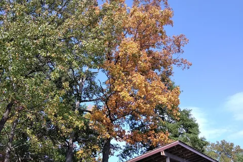 Lonely Oaks - Washington County State Recreation Area