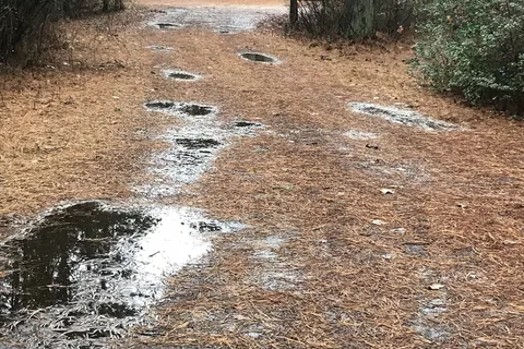 Pilgrim Lake Campgrounds