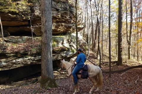 Red Hill Horse Camp