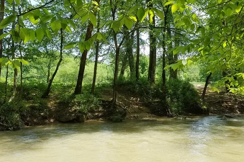 Red Hill Horse Camp