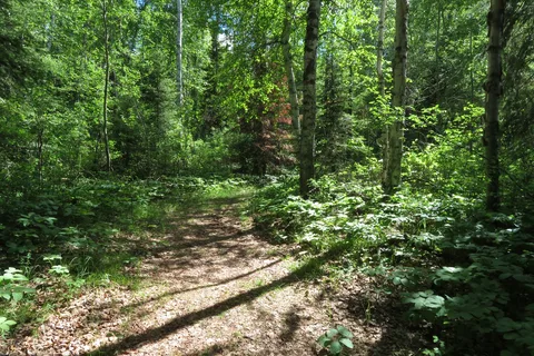 Sir Winston Churchill Provincial Park