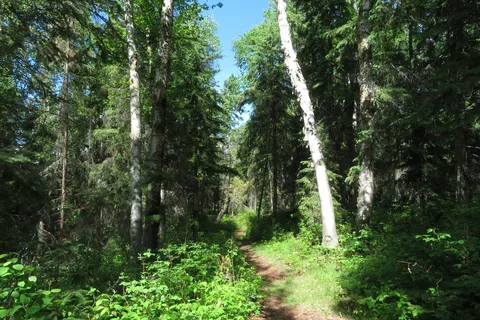 Sir Winston Churchill Provincial Park