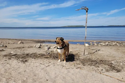 Sir Winston Churchill Provincial Park