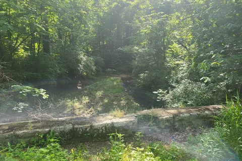 Babler State Park
