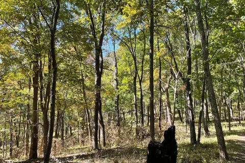 Babler State Park