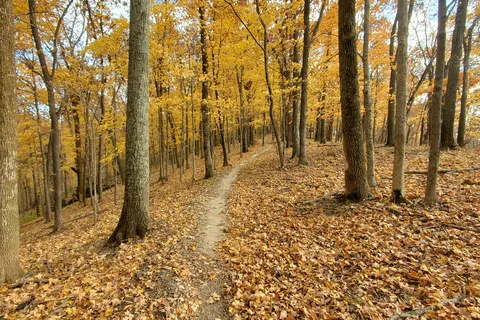 Babler State Park