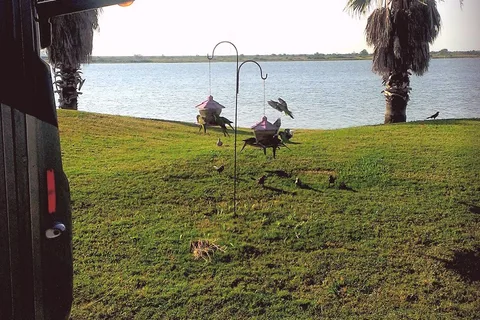 Galveston Bay RV Resort and Marina