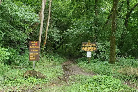 Camp 3 - Bennett Spring State Park