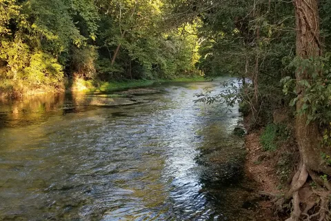 Camp 3 - Bennett Spring State Park