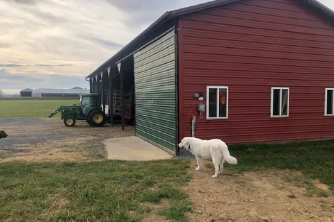 Double A Farm