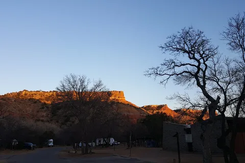 Hackberry - Palo Duro Canyon State Park