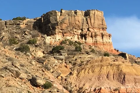Hackberry - Palo Duro Canyon State Park