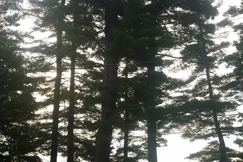 Augusta West Lakeside Resort