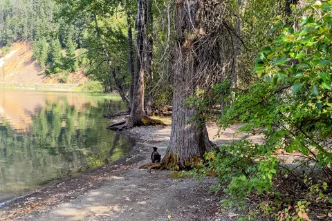 Allison Lake Provincial Park