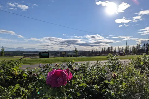 Connell City Park