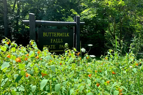 Buttermilk Falls State Park