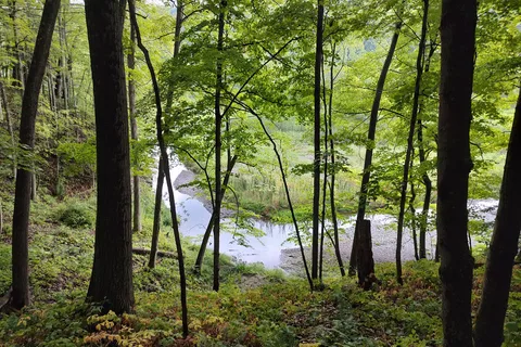 Buttermilk Falls State Park