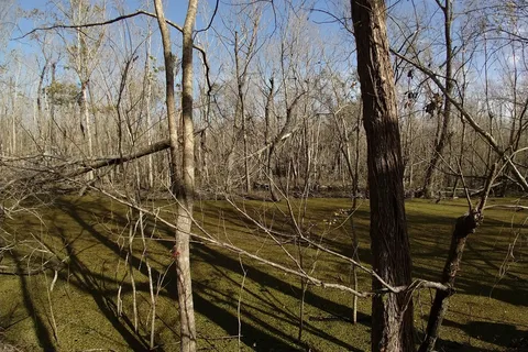 St Bernard State Park
