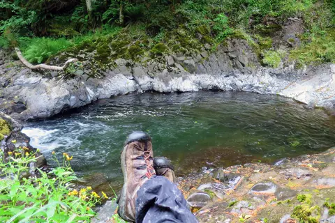 Tillamook State Forest - Jordan Creek