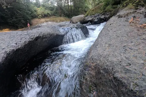 Tillamook State Forest - Jordan Creek