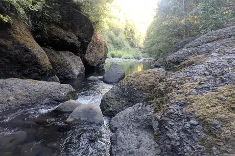 Tillamook State Forest - Jordan Creek