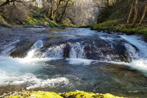 Tillamook State Forest - Jordan Creek