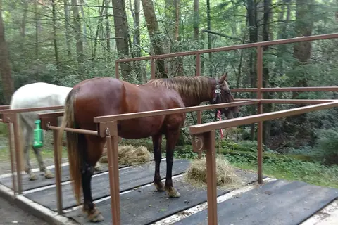 Anthony Creek Horse Camp - Great Smoky Mountains National Park