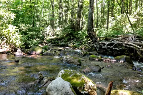 Anthony Creek Horse Camp - Great Smoky Mountains National Park