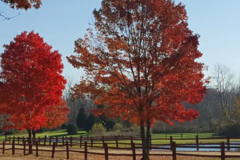 Washakie Campground and Golf