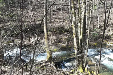 Tumbling waters campground and trout pond