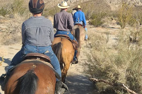 Vern Whittaker Horse Camp - Anza-Borrego Desert State Park