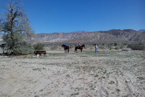 Vern Whittaker Horse Camp - Anza-Borrego Desert State Park