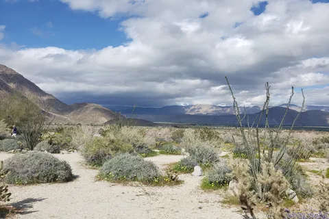 Vern Whittaker Horse Camp - Anza-Borrego Desert State Park