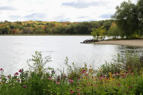 Veterans Memorial Park