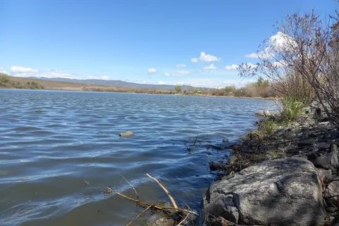 Oasis on the Snake