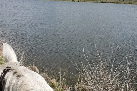 Seymour Lake State Wildlife Area