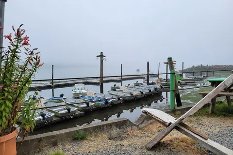 Brighton Marina and RV Park