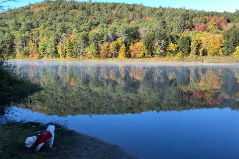 Crown Point Camping Area