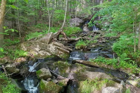 Crown Point Camping Area