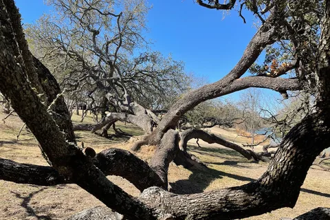Miller Creek RV Park