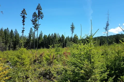 Morton Lake Provincial Park