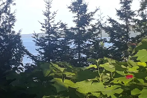 Legendary Waters Buffalo Bay Campgrounds and Marina