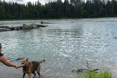 Swiftwater City Campground