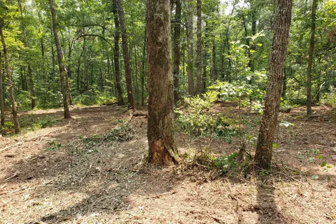 Paradise On The Mountain RV Park