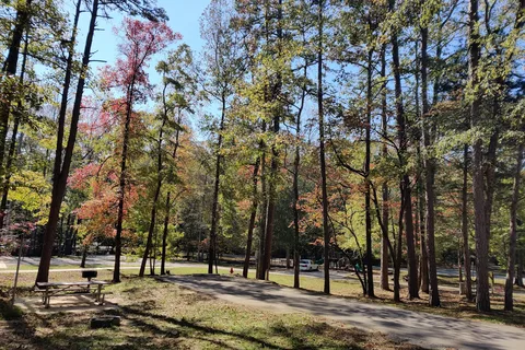 Wrangler Equestrian - Chickasaw State Park