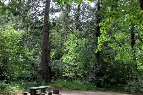 Coquihalla Campground