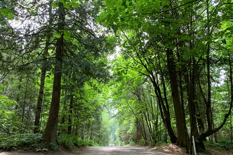 Coquihalla Campground