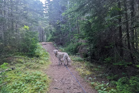 Dildo Run Provincial Park