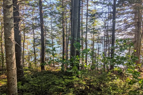 Dildo Run Provincial Park